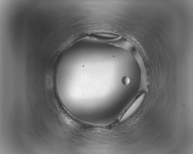 X0000070210393200606091630