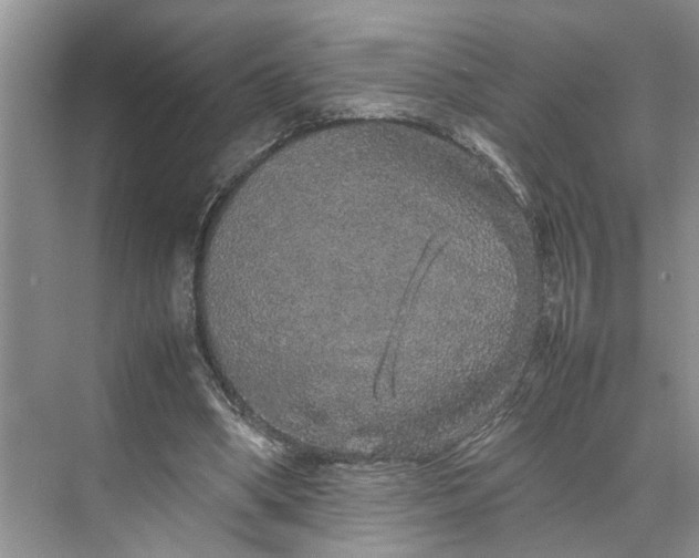 X0000070210394200606091630