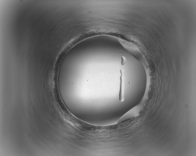 X0000070210395200606091630