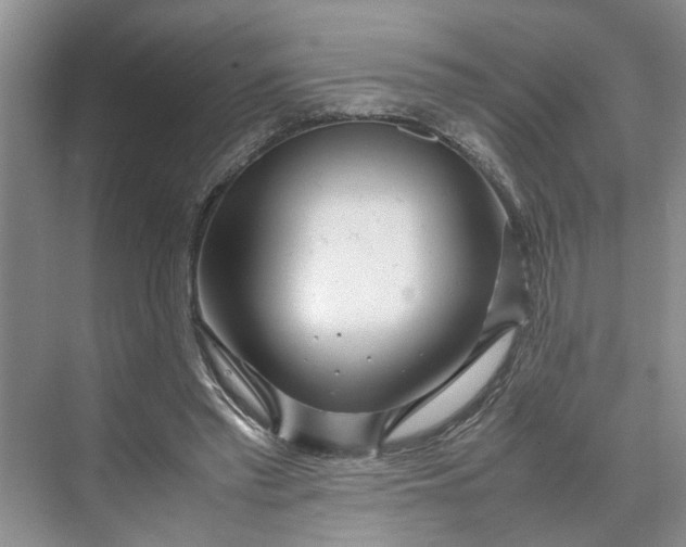 X0000070210397200606091630