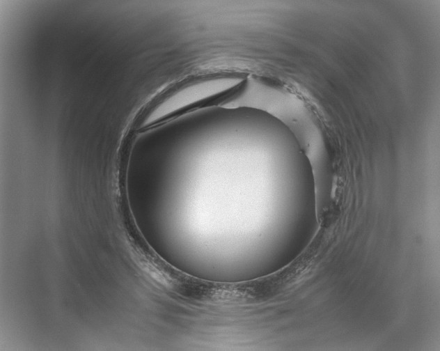 X0000070210399200606091630