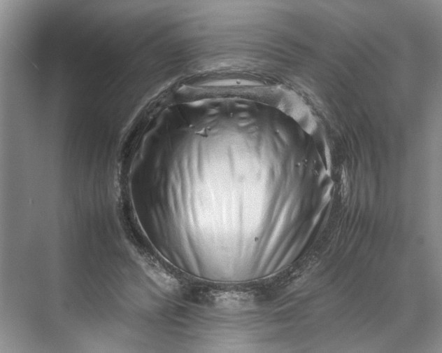 X0000070210400200606091630