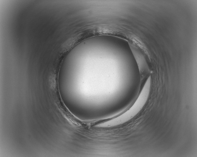 X0000070210401200606091630