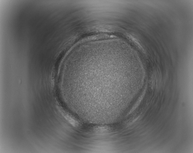 X0000070210402200606091630