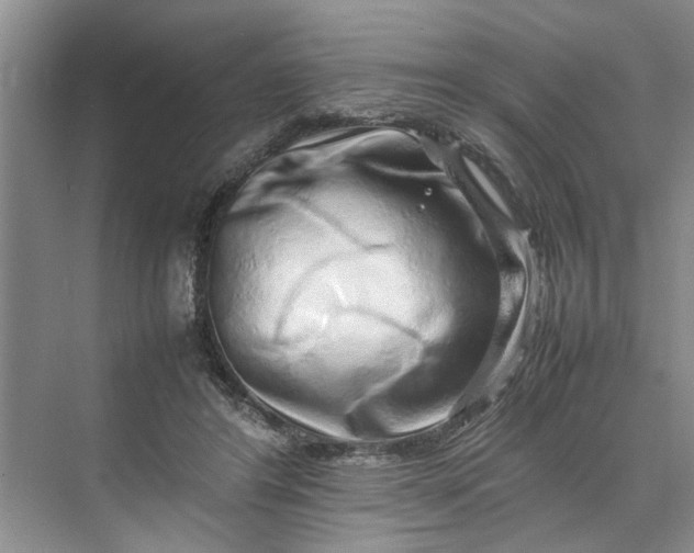 X0000070210404200606091630