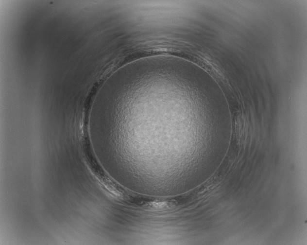 X0000070210406200606091629