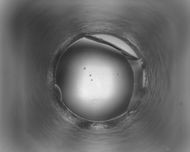 X0000070210407200606091629