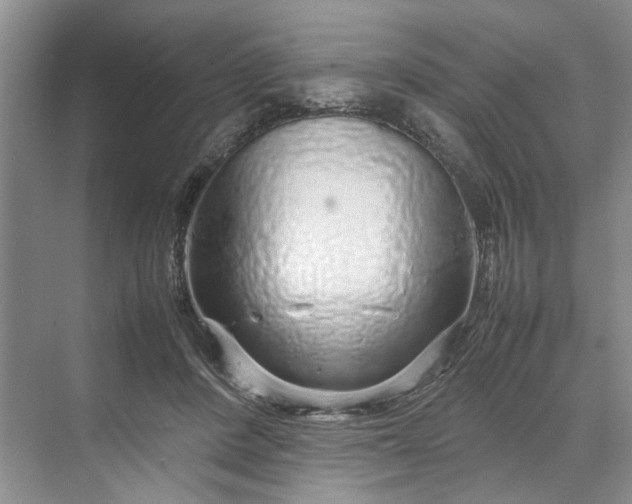 X0000070210408200606091629