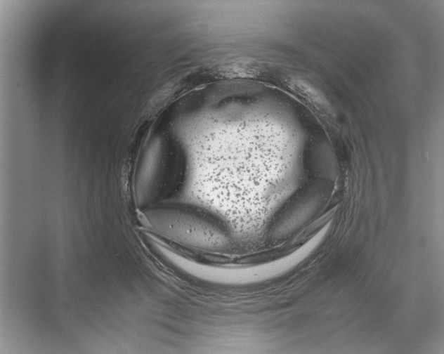 X0000070210409200606091629