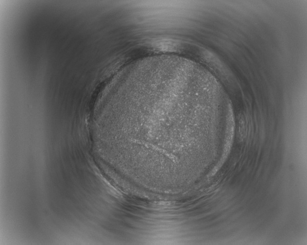 X0000070210410200606091629