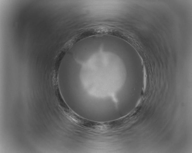 X0000070210411200606091629