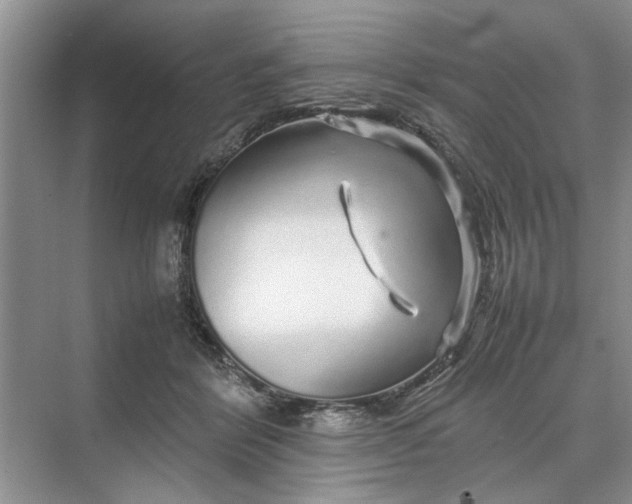 X0000070210412200606091629