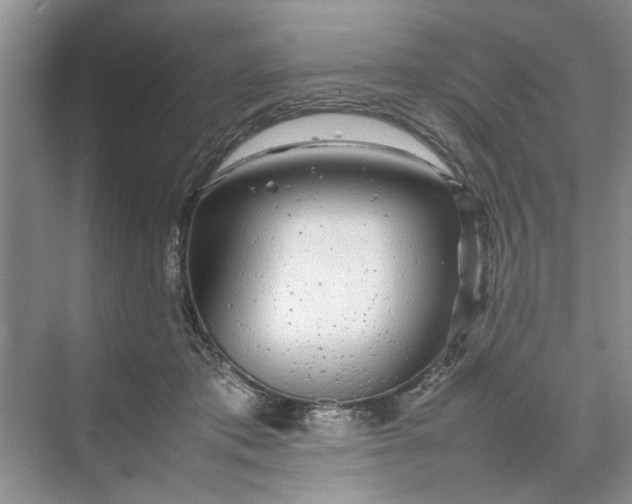 X0000070210413200606091629