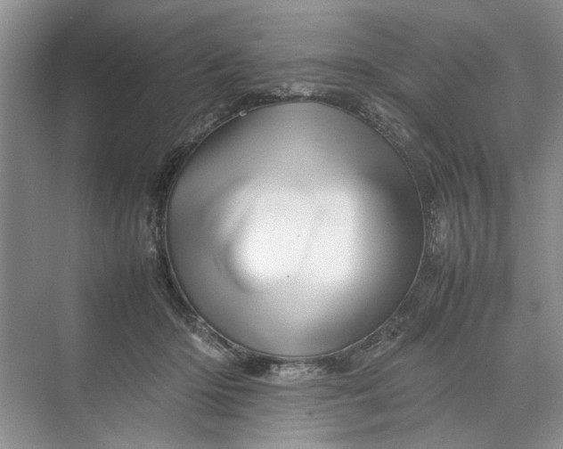 X0000070210414200606091629