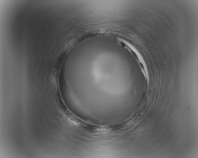 X0000070210415200606091629