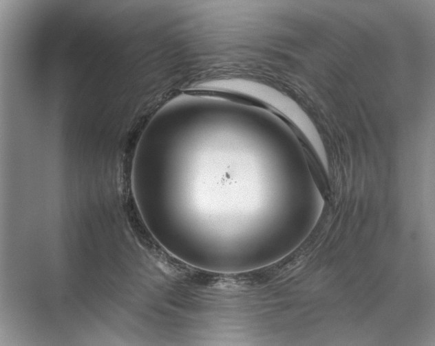 X0000070210416200606091629