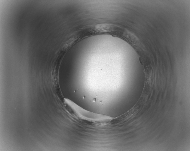 X0000070210418200606091629