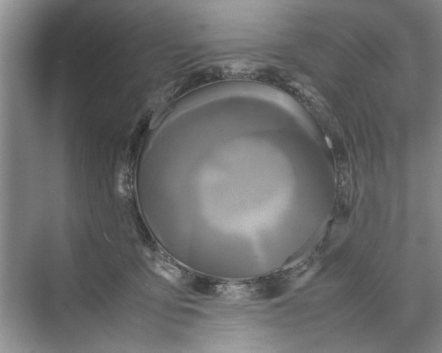 X0000070210419200606091629