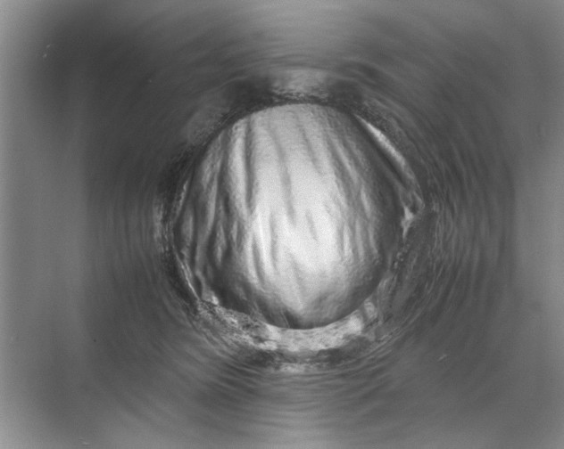 X0000070210420200606091629