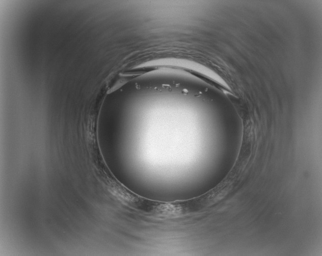 X0000070210421200606091629