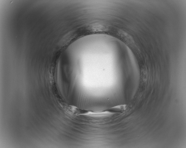 X0000070210422200606091629