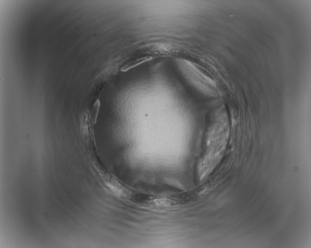 X0000070210423200606091629