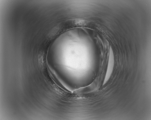 X0000070210424200606091629