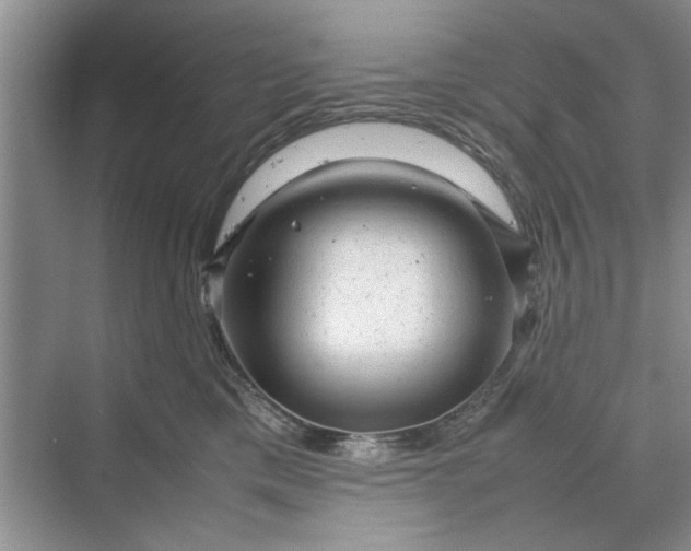 X0000070210425200606091629