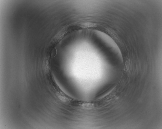 X0000070210426200606091629