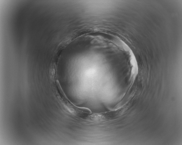 X0000070210427200606091629