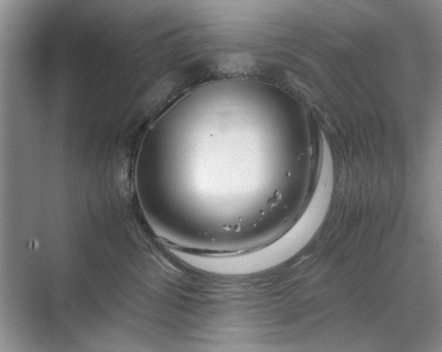 X0000070210428200606091629