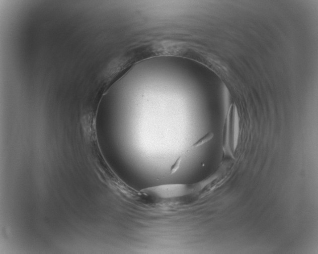 X0000070210429200606091629