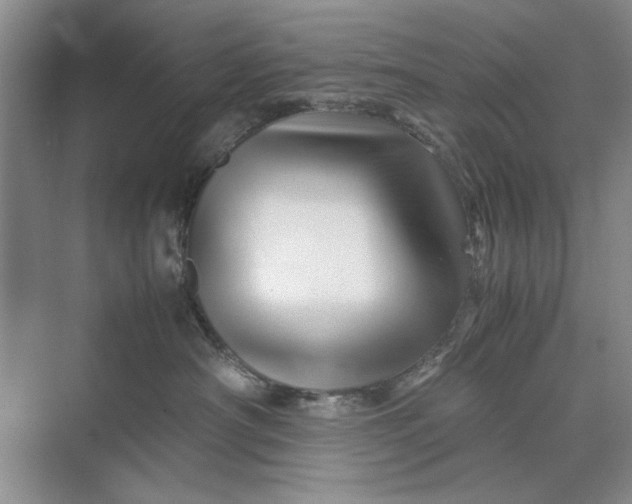 X0000070210430200606091629