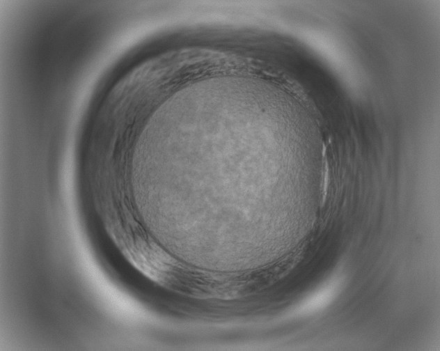 X0000070210431200606091629