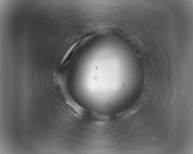 X0000070210432200606091629