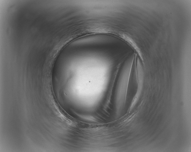 X0000070210433200606091628