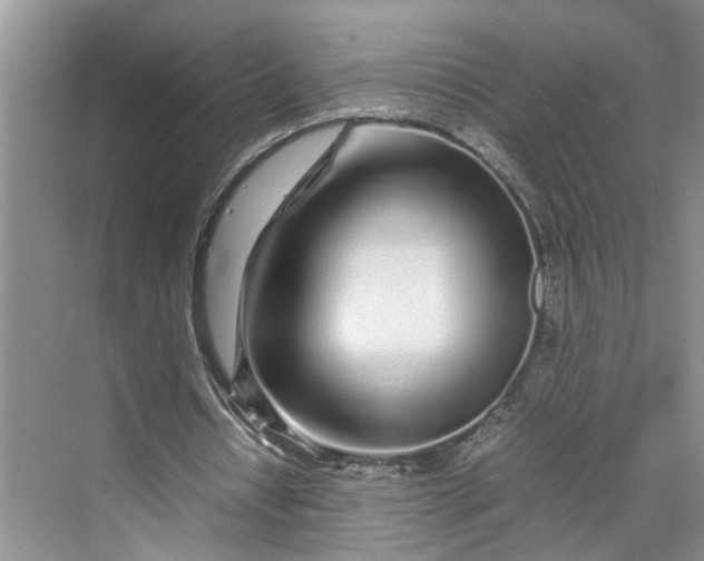 X0000070210434200606091628