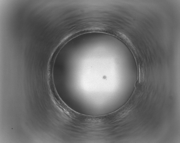 X0000070210435200606091628