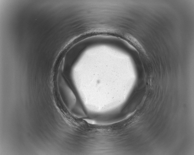 X0000070210436200606091628