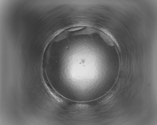 X0000070210437200606091628