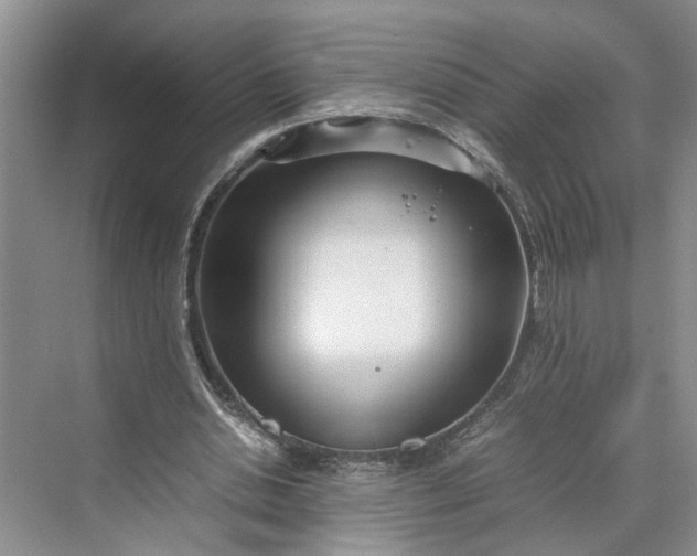 X0000070210438200606091628