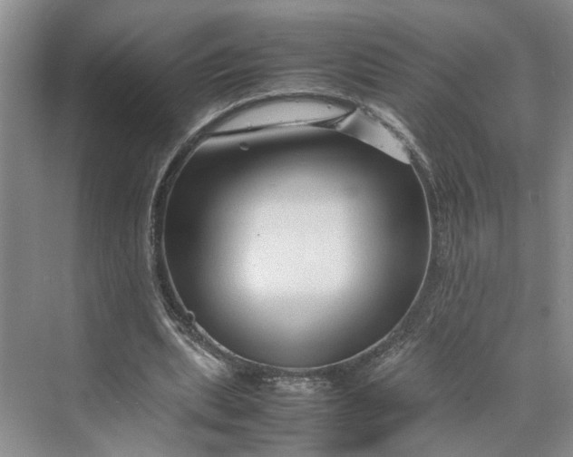 X0000070210439200606091628