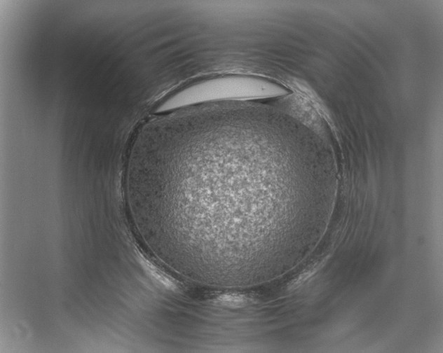 X0000070210441200606091628