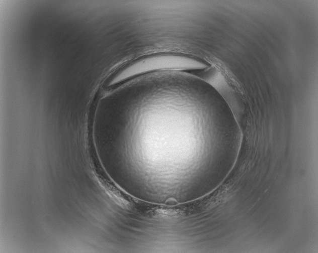 X0000070210442200606091628