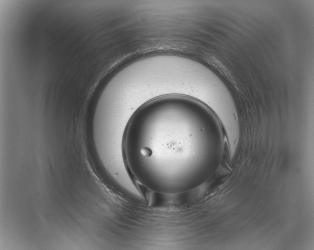 X0000070210444200606091628