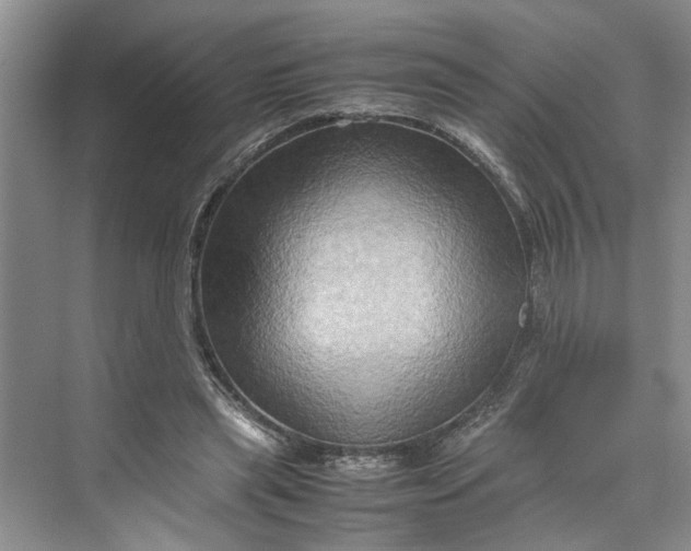 X0000070210445200606091628