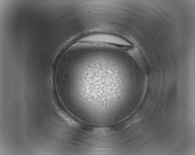 X0000070210446200606091628