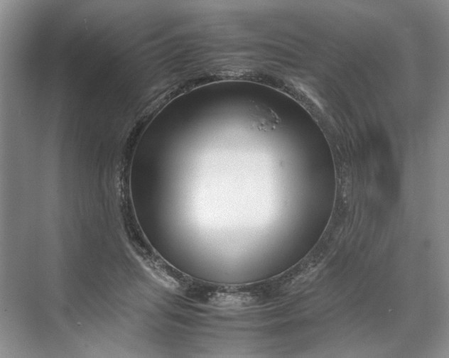 X0000070210455200606091629