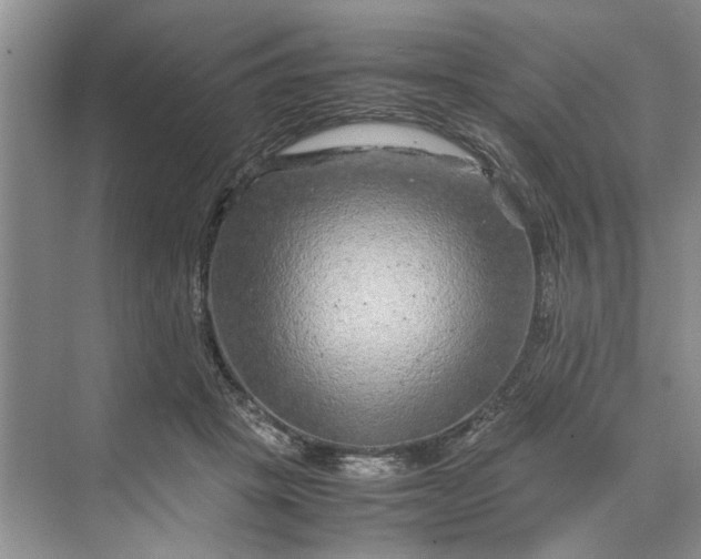 X0000070210457200606091629