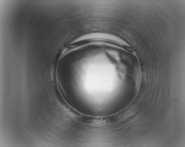 X0000070210458200606091629